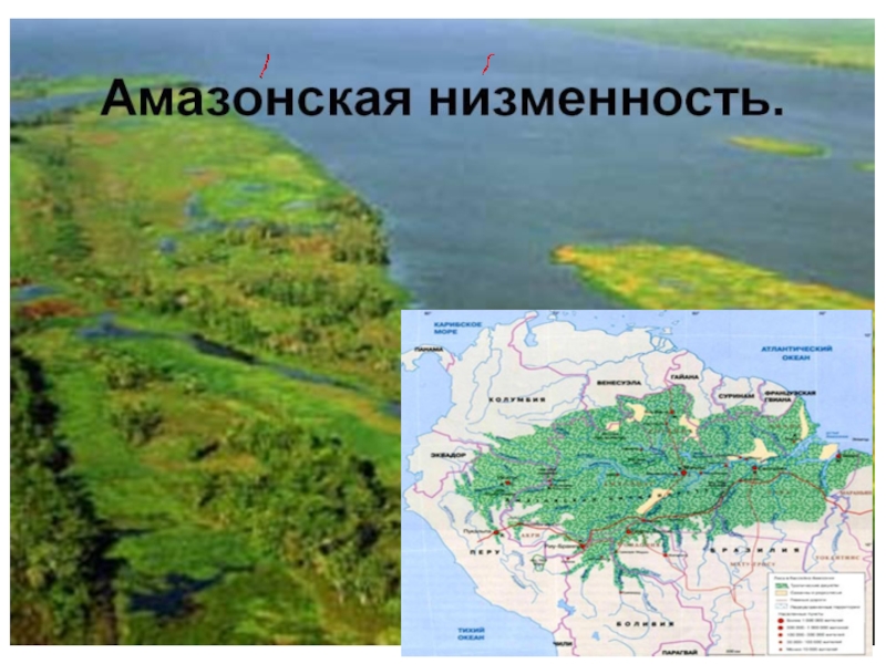 Плотность амазонской низменности