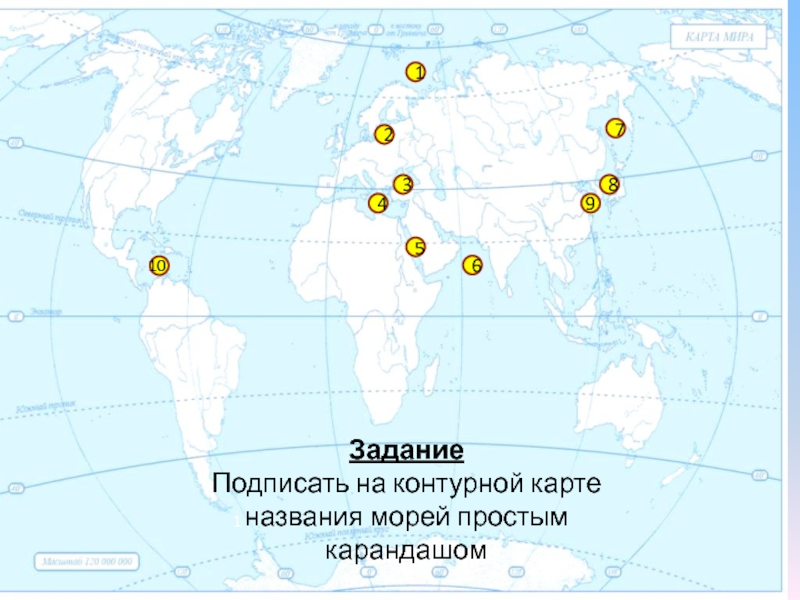 Контурная карта моря и заливы