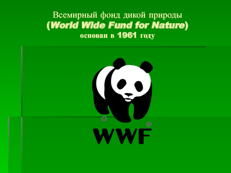 The world wildlife fund is an organization