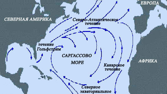 Саргассово море. Где находится, к какому океану относится, интересные факты, границы, бермудский треугольник