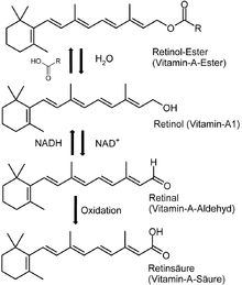 Витамин A-Synthese.png