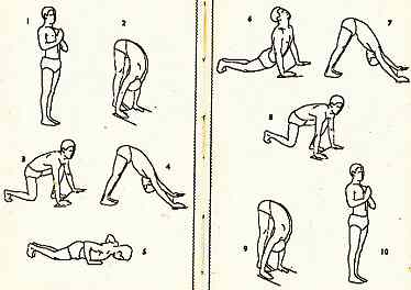 Bhawanrao Shriniwasrao Pant Pratinidhi popularised the Sun Salutation in his 1928 book. The sequence uses Downward Dog Pose twice (numbers 4 and 7).[12][13]