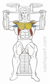 Сведение рук в тренажере "бабочка" Сведение рук в тренажере "бабочка"