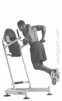 Отжимания на брусьях Отжимания на брусьях