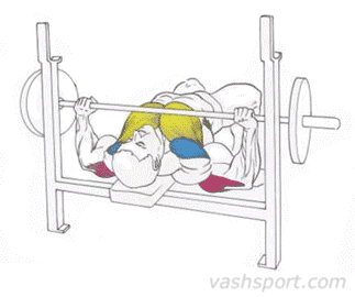 Жим лежа Жим штанги лежа