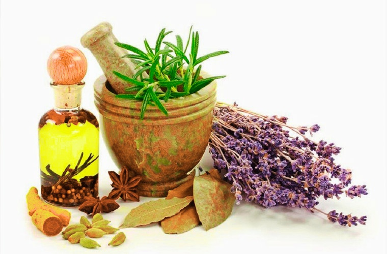 Фитотерапия