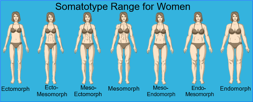 Their range of. Процент жира в организме женщины. Фигура мезоморф женщины.