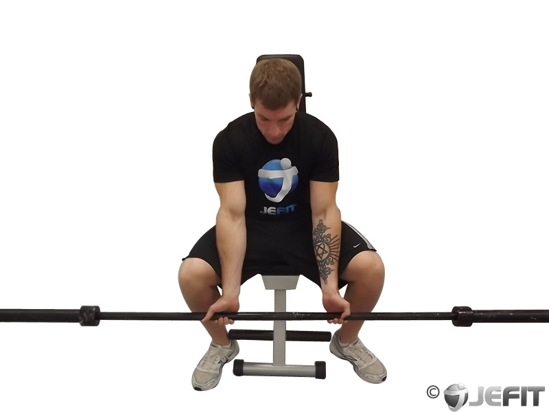 Barbell Seated Palms Up Wrist Curl