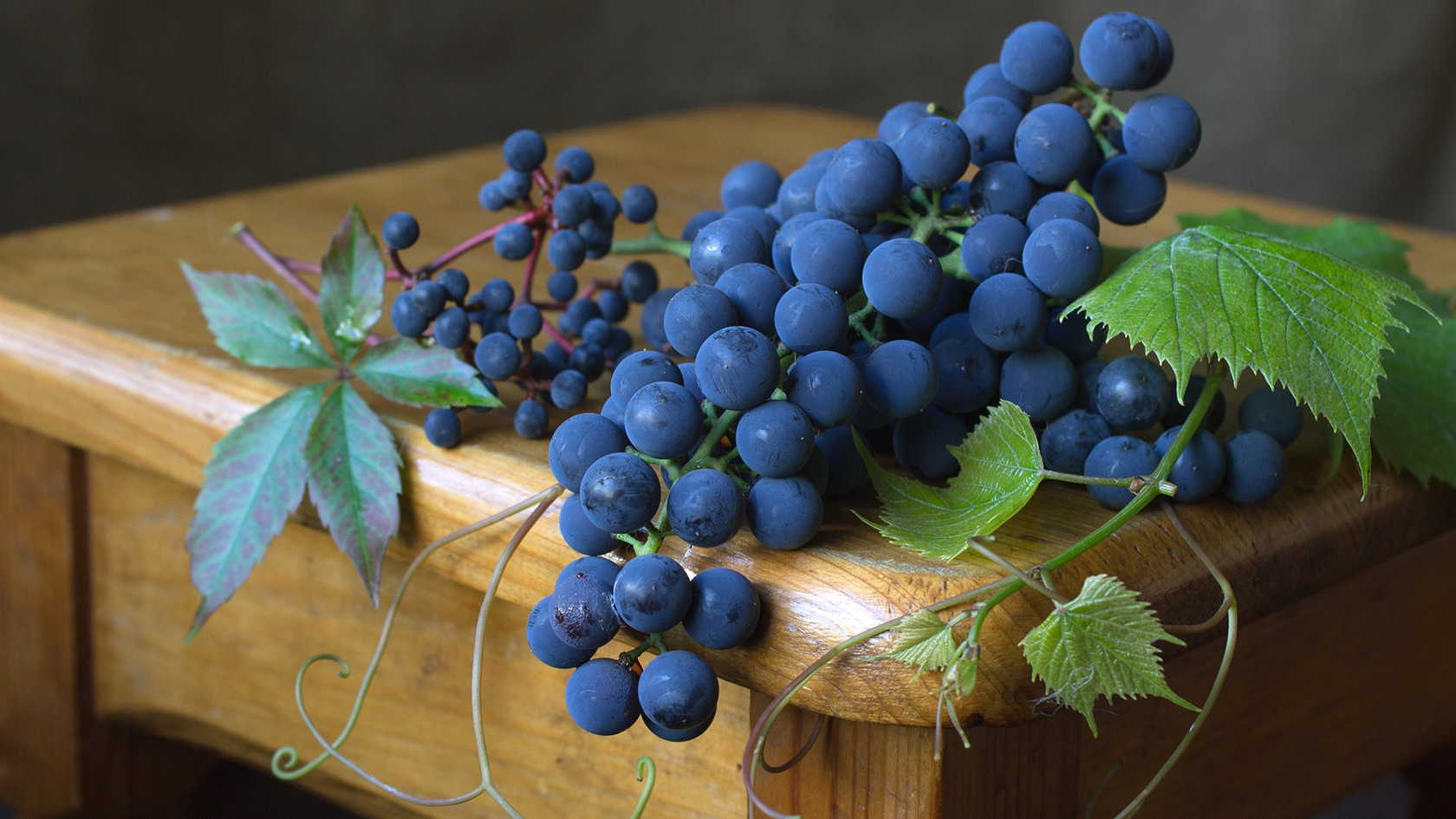 черный виноград