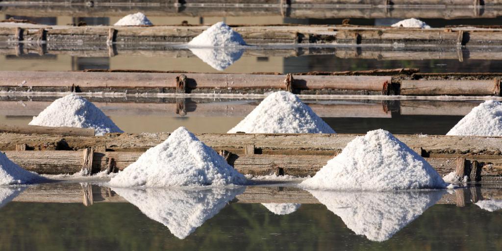 виды полезных ископаемых соль