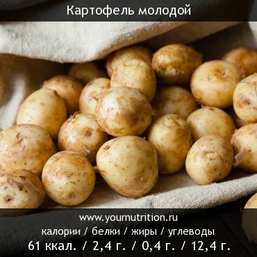 Вареный картофель ккал. Калорийность молодого картофеля. Молодой картофель ккал. 100 Грамм картофеля. Молодая картошка ккал.